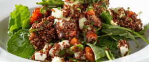 ho-ho-kus-inn-menu-salad
